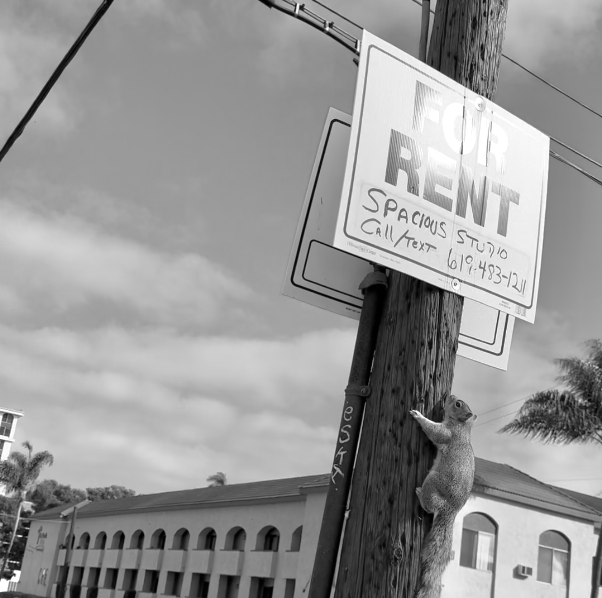 SWITCHEROO: CO-OPTING THE HOUSING CRISIS